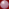 psiholog_oradea011013.gif